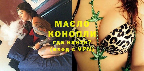 твердый Гусев