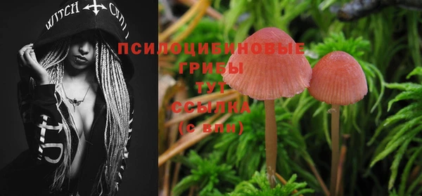 марки lsd Алзамай