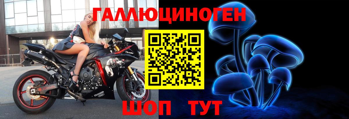 Касимов  Галлюциногенные грибы GOLDEN TEACHER  Галлюциногенные грибы Cubensis  Вход с VPN 