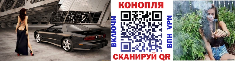 KRAKEN рабочий сайт  цены наркотик  Касимов  Бошки Шишки MAZAR 